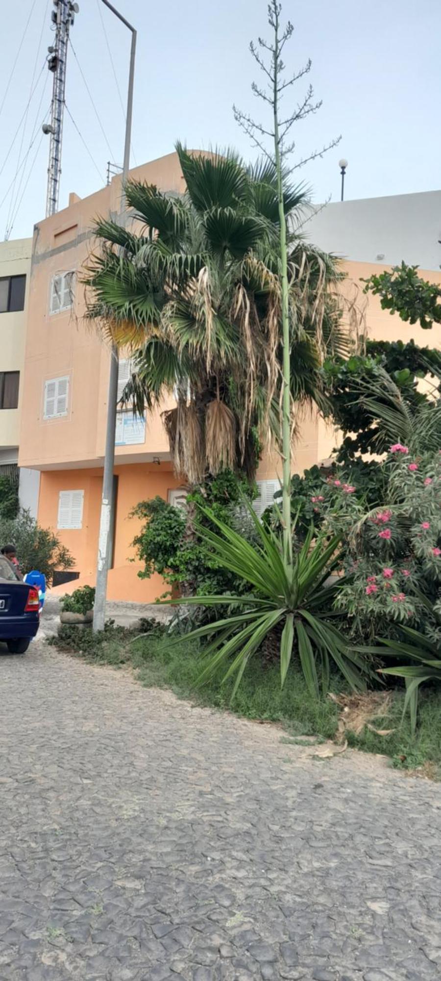 Laginha Beach Guest House Mindelo Zewnętrze zdjęcie